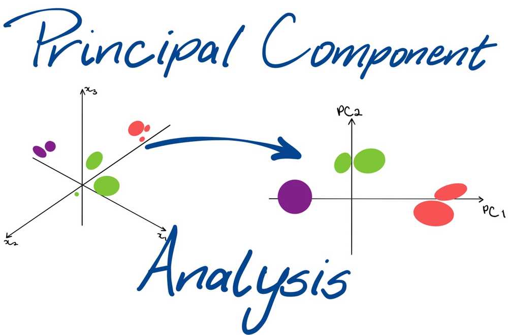 Principal Component Analysis