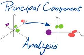 Principal Component Analysis