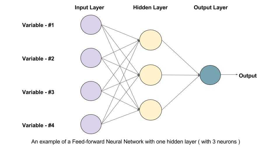 Feed Forward in Neural Networks