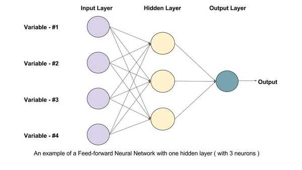 Feed Forward in Neural Networks