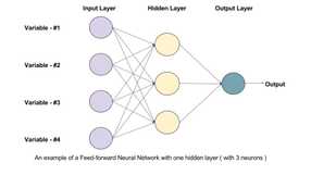 Feed Forward in Neural Networks