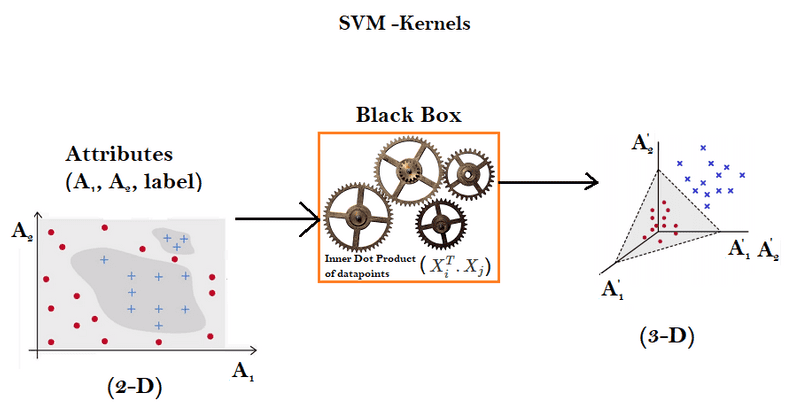 kernel